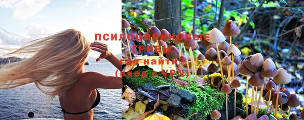 кокаин премиум Краснослободск