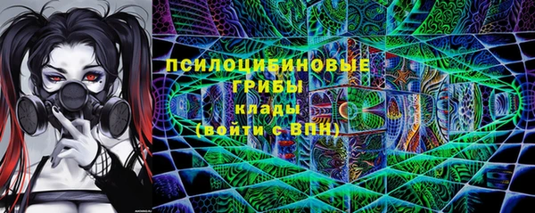 ГАЛЛЮЦИНОГЕННЫЕ ГРИБЫ Красноперекопск