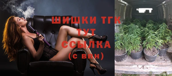 стафф Краснотурьинск