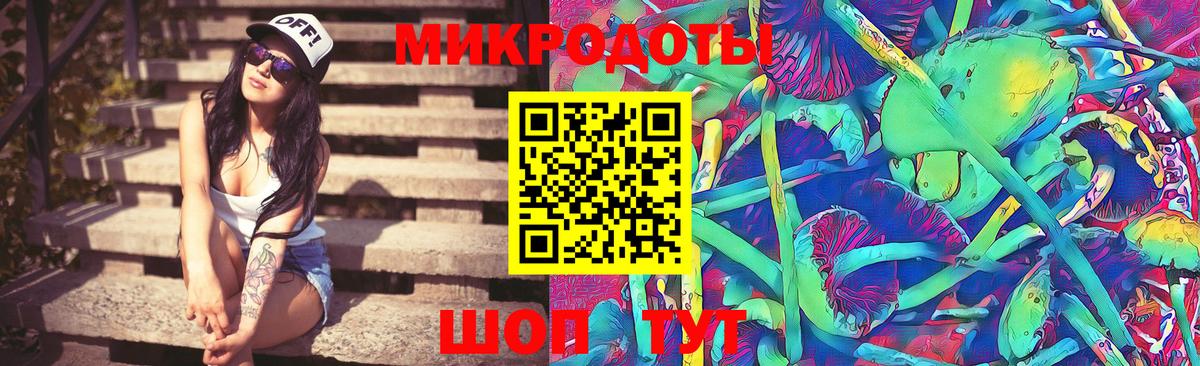 Узловая  Галлюциногенные грибы Psilocybine cubensis  Вход с VPN 